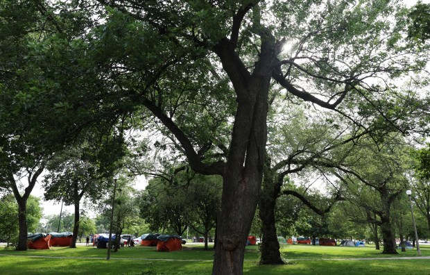 Tents housing homeless residents are lined along Luis Munoz Marin Drive in the northeast corner of Humboldt Park on June 25, 2024, in Chicago. (John J. Kim/Chicago Tribune)