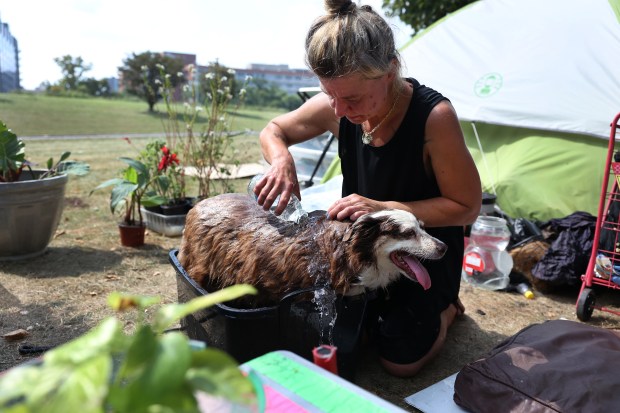 Joanna Kondracki-Miro pours water onto her dog Bailey to cool him off at Wilson Avenue and DuSable Lake Shore Drive on a hot and humid day in Chicago on Aug. 27, 2024. (Chris Sweda/Chicago Tribune)