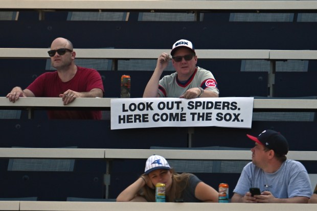 A White Sox fan holds a sign in the fifth inning of a game against the Rangers on Aug. 29, 2024, at Guaranteed Rate Field. (Quinn Harris/Getty)