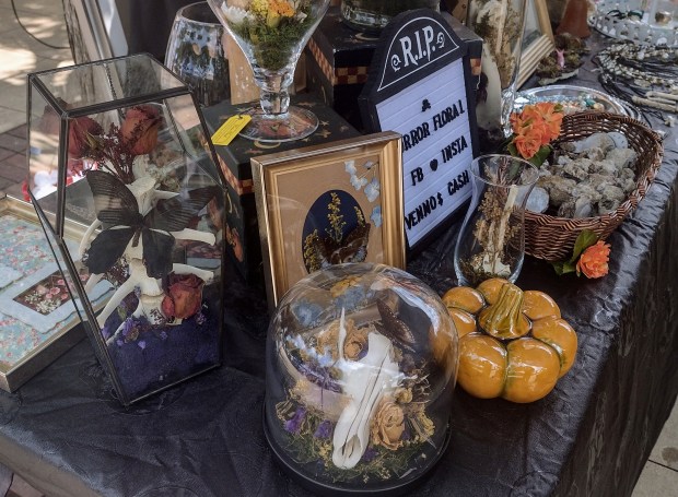 There's beauty to be found items that have been discarded or are related to death, according to Mary Sweeney, a Sycamore artist who was selling items she made at Saturday's Area 22 Arts, Crafts and Oddities Fair in downtown Elgin. (Mike Danahey/The Courier-News)