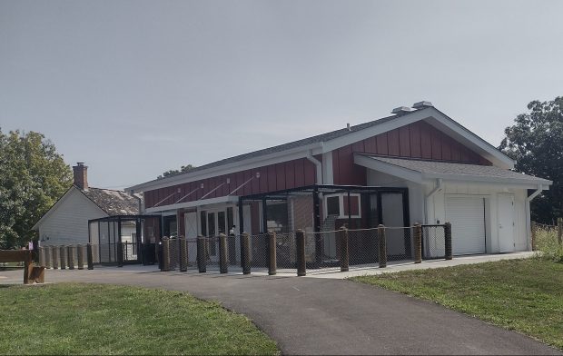 Randall Oaks Zoo's new World of Wonders building, which houses a variety of small mammals, reptiles, amphibians and invertebrates, opened to the public Friday. The only section of the West Dundee facility not yet finished is the indoor pony ride, which will open later this year. (Mike Danahey/The Courier-News)