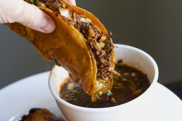 Quesabirria tacos at Tacotlan. (Nick Kindelsperger / Chicago Tribune)