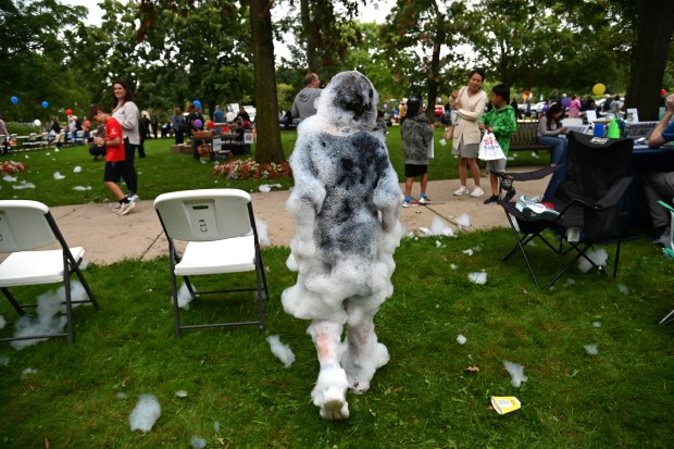 A foam covered Levi Ander, 9, a rising fourth-grader from Highland Park, has exited the foam party pit to check in with his mother Ellie Ander, a volunteer staffing a community table for BeSMARTforKids.org at National Night Out on Aug. 6, 2024 at Highland Park City Hall (1707 St. Johns Ave.). (Karie Angell Luc/Lake County News-Sun)