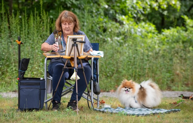 Four year-old Willy waits patiently as his owner Anita Phillips prepares to painting during the Nature in the Arts event sponsored by The Art Barn School of Art, the Chesterton Art Center and the Shirley Heinze Land Trust held at the Meadowbrook Nature Preserve in Valparaiso, Indiana Saturday Aug. 17, 2024. Phillips, of South Haven, is a member of the Duneland Plein Air Painters. (Andy Lavalley for the Post-Tribune).