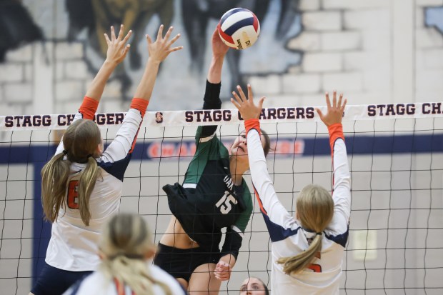 Oak Lawn's Hailey Wierzgac (15) spikes the ball during a volleyball game against Stagg in Palos Hills on Wednesday, Aug. 28, 2024. (Troy Stolt for the Daily Southtown)