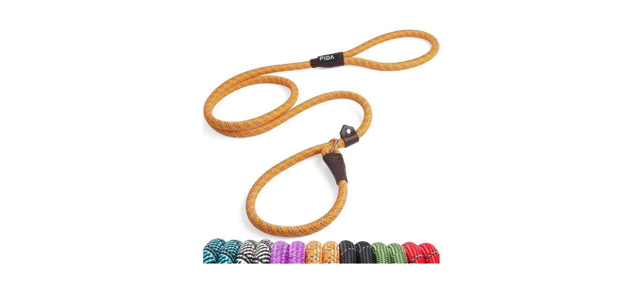 Fida Slip Lead Dog Leash