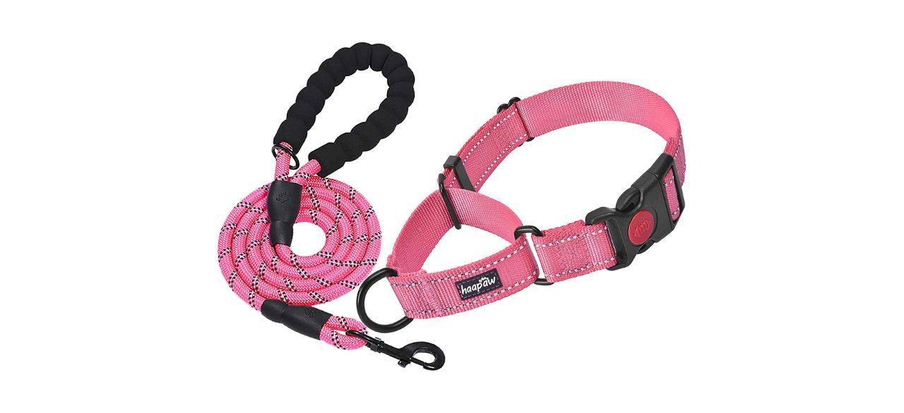 Haapaw Martingale Dog Collar With Leash