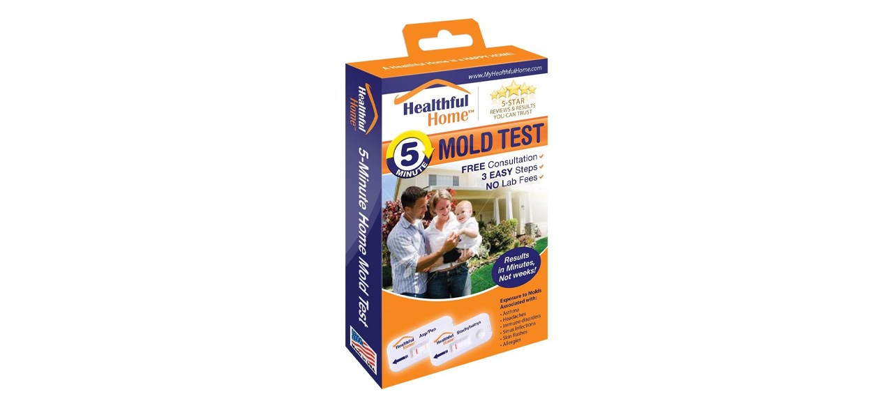 Healthful Home 5-Minute At-Home Mold Test Kit