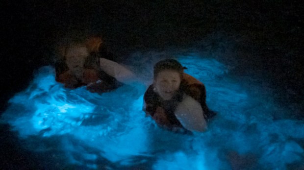 Swimmers in La Parguera Bay, one of Puerto Rico's three bioluminescent bays. (Discover Puerto Rico)