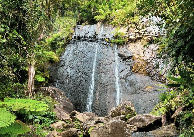 A waterfall in Puerto Rico's El Yunque National Forest, the only tropical rain forest in the U.S. Forest Service system. (Getty)