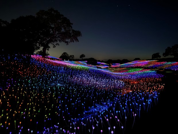 Glowing stemmed spheres  100,000 of them  make up the "Field of Light" immersive exhibit at Sensorio in Paso Robles. (Lori Rackl)