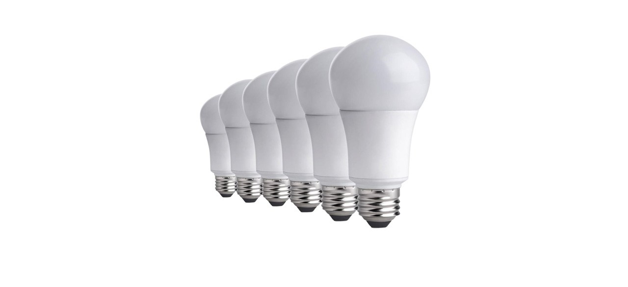 TCP LED Light Bulbs on white background