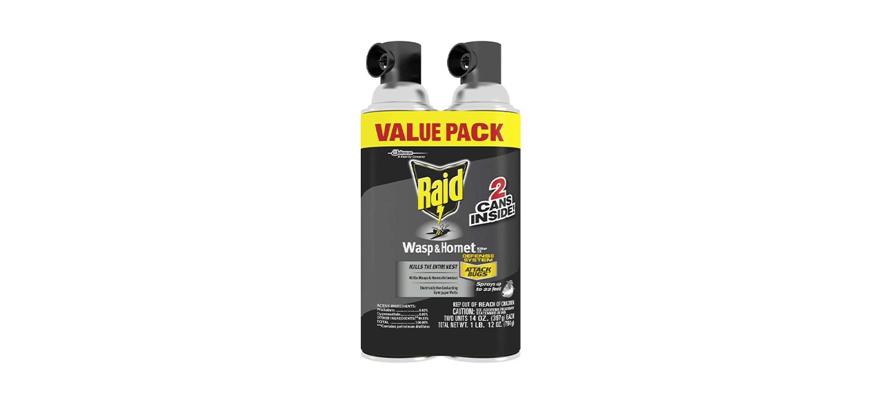 Raid Wasp And Hornet Killer Spray