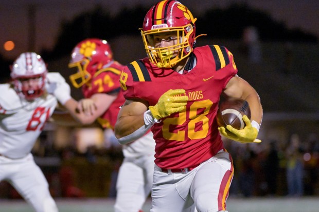 Batavia's Nathan Whitwell (28) runs the ball for a second quarter touchdown against South Elgin at home on Friday, Sept. 6, 2024. (Mark Black / The Beacon-News)