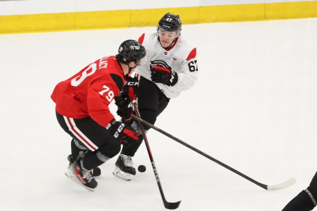 Chicago Blackhawks prospects AJ Spellacy (79) and Samuel Savoie (67) battle for the puck during the first day of training camp at Fifth Third Arena on Thursday, Sept. 19, 2024. (Eileen T. Meslar/Chicago Tribune)