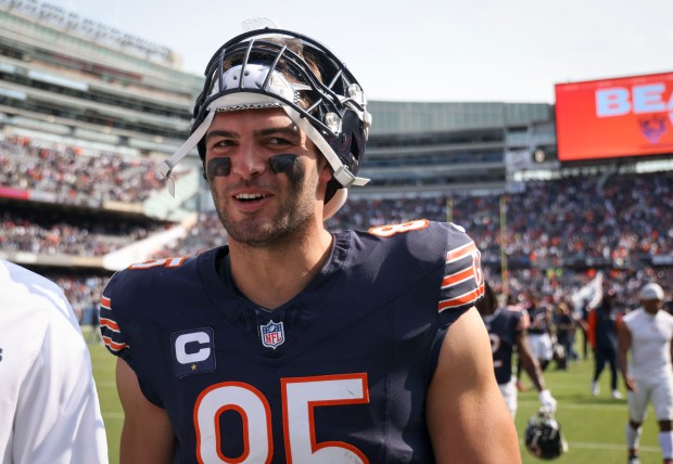 Chicago Bears tight end Cole Kmet, 85, celebrates the win Sunday, Sept. 8, 2024, at Soldier Field. (Brian Cassella/Chicago Tribune)