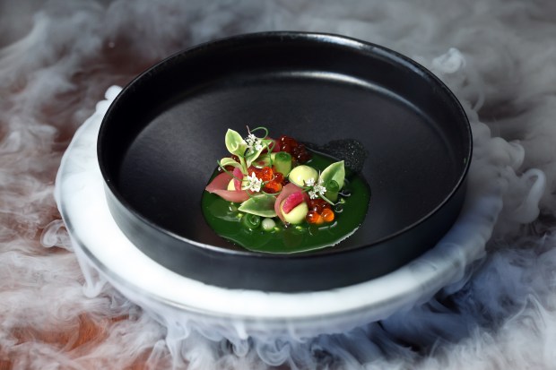 The aguachile with dry ice smoke at the restaurant Cariño, 4662 N Broadway in Chicago, seen on Thursday, Aug. 29, 2024. (Terrence Antonio James/Chicago Tribune)