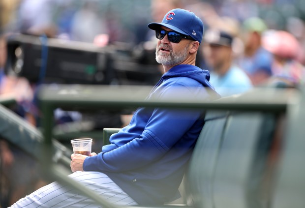 Cubs manager David Ross looks out from the dugout before a game against the Rockies on Sept. 22, 2023, at Wrigley Field. (Chris Sweda/Chicago Tribune)