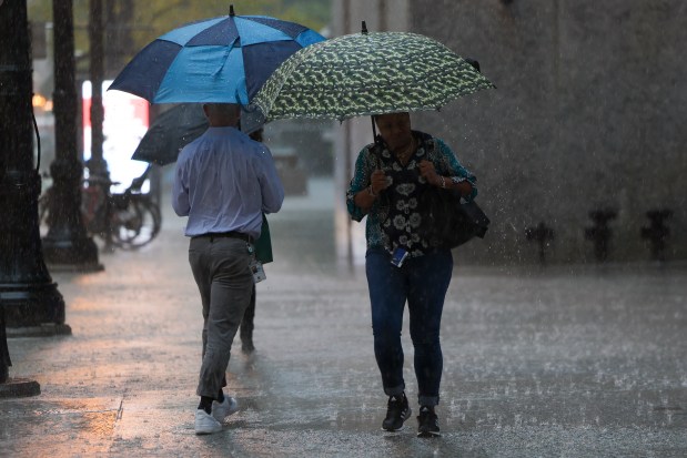 Pedestrians hold umbrellas as they walk through heavy rain in the Loop on Tuesday, Sept. 24, 2024. (Eileen T. Meslar/Chicago Tribune)