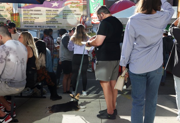 A Corgi named Zoe looks up as Jim Schofield eats tacos during the Lakeview Taco Fest in the 3400 block of North Southport Avenue on Saturday, Sept. 7, 2024, in Chicago. (John J. Kim/Chicago Tribune)