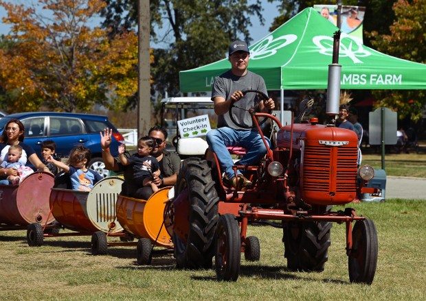 The motorist on the tractor for the barrel train ride is Scott Kaminski of the Grayslake area, driving on behalf of the Lake County Farm Heritage Association at Fall on the Farm at Lambs Farm in Libertyville on Sept. 14, 2024. (Karie Angell Luc/Lake County News-Sun)