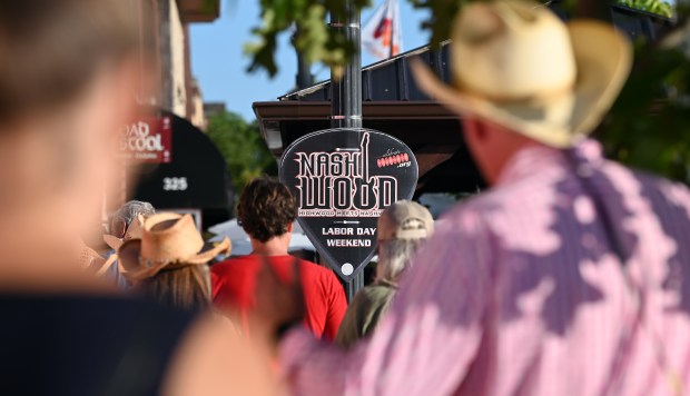 Signage in the shape of a guitar pick. On Waukegan Avenue during Nashwood on Aug. 31, 2024 in Highwood. (Karie Angell Luc/Lake County News-Sun)