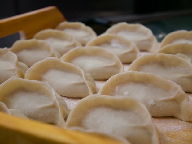 A tray of prepped dumplings