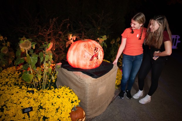 Night of 1,000 Jack-o'-Lanterns at Chicago Botanic Garden in Glencoe is a display of more than 1,000 hand-carved pumpkins lit with LED lights. Along the path are about 80 pumpkins - some weighing up to 150 pounds -- that are intricately carved with themes. (Chicago Botanic Garden)