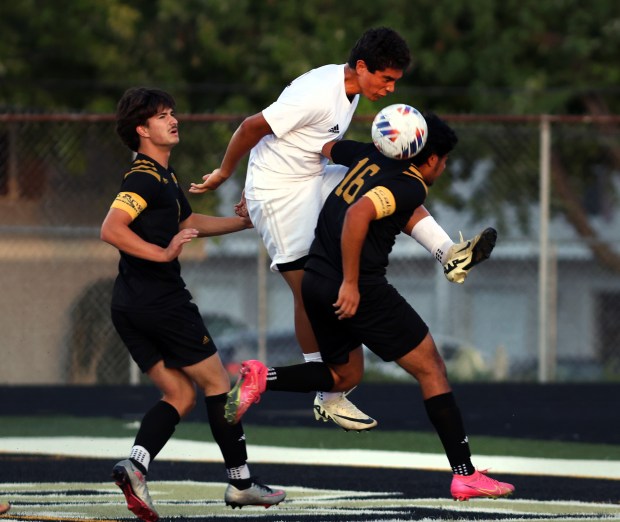 Argo's Abraham Horta (12) battles with Oak Forest Jacob Barrera (16) during the game in Oak Forest on Thursday, Sept. 12, 2024. (James C. Svehla / Daily Southtown)