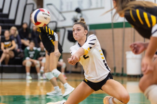 St. Laurence's Natalie Martinez (2) drops down for a dig against Lincoln-Way West during the Oak Lawn Spartan Classic championship match in Oak Lawn on Saturday, Sept. 21, 2024. (Vincent D. Johnson / Daily Southtown)