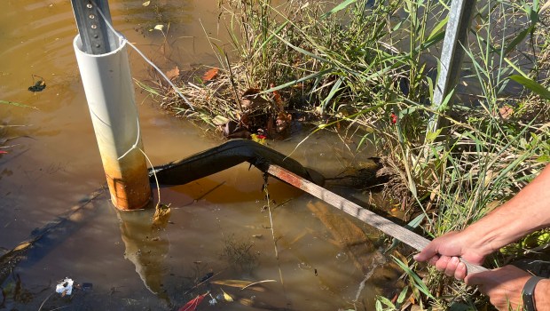 An absorbent boom installed in a contaminated pond at the Izaak Walton Nature in Homewood in 2022 to contain chemicals found in the water. (Samantha Moilanen/Daily Southtown)