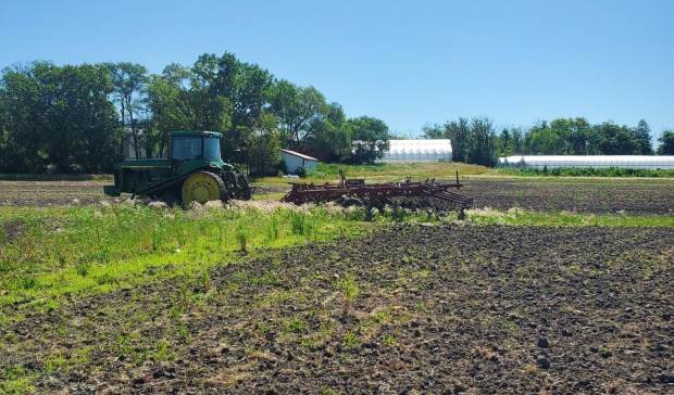 Cover crops of oats and clover are planted to feed the soil flourishing at Urban Growers Collective Farms Fund Farm in July 2024. (The Conservation Fund)