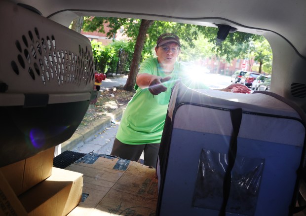 Annette Prince loads two Pekin ducks rescued in Chinatown's Ping Tom Park into the back of her van on Sept. 5, 2024, in Chicago. (Stacey Wescott/Chicago Tribune)