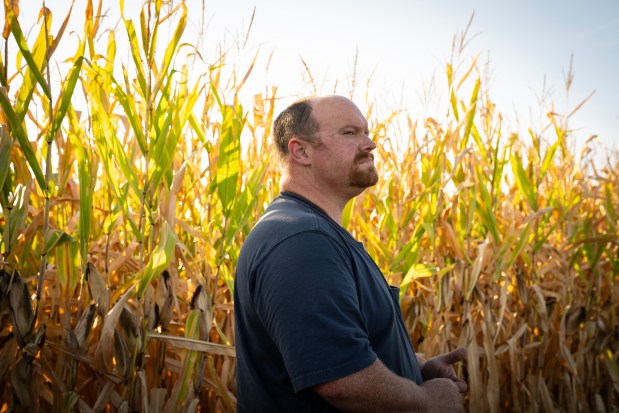 Jared Gregg harvests soybeans on farmland in Cerro Gordo on Sept. 20, 2024. (E. Jason Wambsgans/Chicago Tribune)