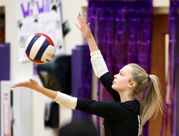 Hampshire's Jorah Rutter (11) serves against Dundee-Crown during a Fox Valley Conference game in Hampshire on Thursday, Oct. 17, 2024.(H. Rick Bamman/for the Beacon-News)