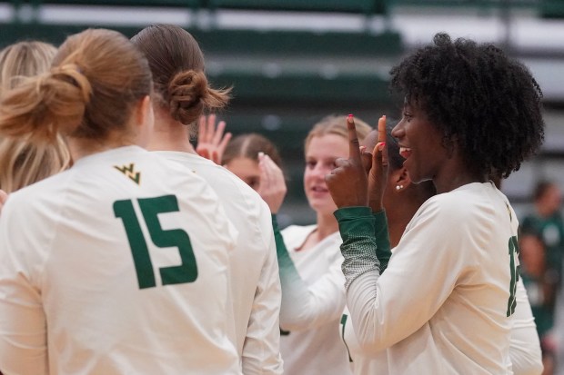 Waubonsie Valley's Naomi Dowd (12) celebrates with her team after defeating St. Charles East in a volleyball match at Waubonsie Valley High School on Wednesday, Oct 2, 2024. (Sean King / for The Beacon-News)