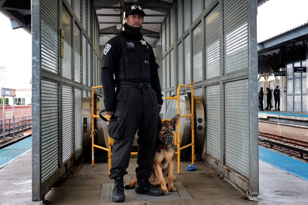 A K-9 security officer and his dog stand at the CTA Yellow Line Howard Station, in Chicago, May 15, 2024. (Antonio Perez/Chicago Tribune)