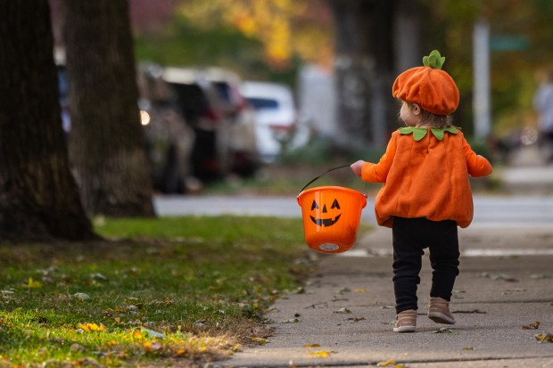 A child trick-or-treats dressed as a pumpkin on Halloween in the Roscoe Village neighborhood of Chicago on Oct. 31, 2024. (Tess Crowley/Chicago Tribune)