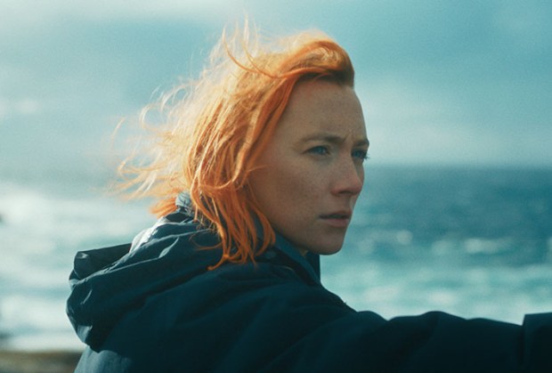 In addiction recovery, a young woman (Saoirse Ronan) returns to the Orkney Islands off Scotland in "The Outrun." (Sony Pictures Classics)