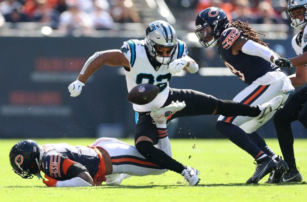 Panthers tight end Tommy Tremble fumbles after a hit by Bears safety Jaquan Brisker in the second quarter Oct. 6, 2024, at Soldier Field. The Bears recovered. (Chris Sweda/Chicago Tribune)