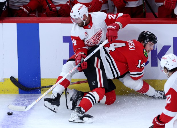 Detroit Red Wings defenseman Antti Tuomisto (24) and Chicago Blackhawks defenseman Kevin Korchinski (14) get tangled up in the second period of a preseason game at the United Center in Chicago on Sept. 25, 2024. (Chris Sweda/Chicago Tribune)