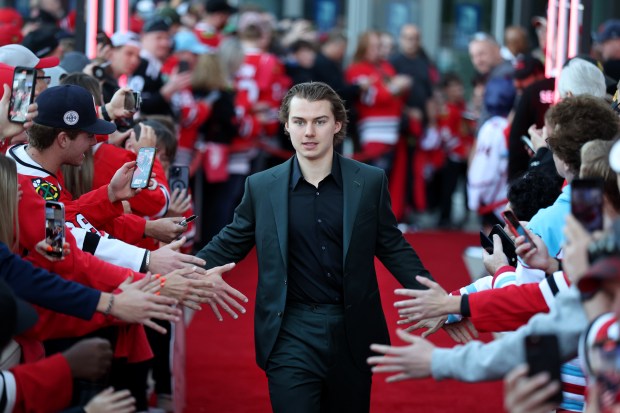 Chicago Blackhawks center Connor Bedard is introduced on the red carpet before the Blackhawks home opener against the San Jose Sharks at the United Center in Chicago on Oct. 17, 2024. (Chris Sweda/Chicago Tribune)