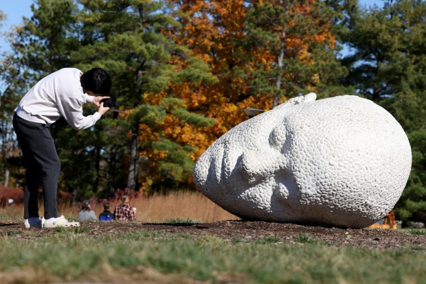 A visitor photographs the sculpture With an Ear to the Ground by artist Olga Ziemska at the Morton Arboretum, Oct. 23, 2024. (Antonio Perez/Chicago Tribune)