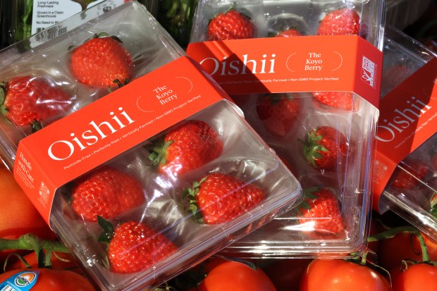 The elusive and high-end Japanese Koyo berries at Whole Foods Market in Chicago's Lincoln Park neighborhood on Oct. 11, 2024. (Antonio Perez/Chicago Tribune)