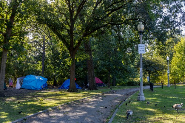 Geese walk in the grass while tents sit near a path in Gompers Park on Oct. 2, 2024, in Chicago. (Armando L. Sanchez/Chicago Tribune)