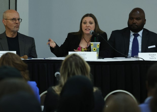 State Sen. Rachel Ventura speaks during a meeting of the Commission on Government Forecasting and Accountability, June 11, 2024, in Joliet. (John J. Kim/Chicago Tribune)