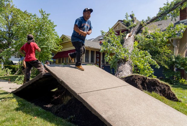 Crews clear a fallen tree that hit a house and uprooted a sidewalk on July 16, 2024, on South Euclid Avenue in Oak Park after overnight storms. (Brian Cassella/Chicago Tribune)