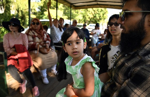 Center, Rizqah Rafay, 3, of Skokie takes a horse trolley ride with her family, seated on the lap of her father Muhammad Rafay, around a neighborhood block at Northbrook Autumnfest on Oct. 5, 2024 in Northbrook at Meadowhill Park. (Karie Angell Luc/Pioneer Press)