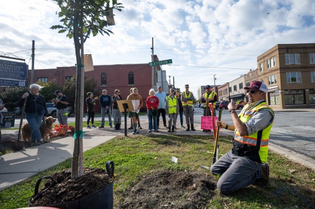 City of Valparaiso arborist Matt McBain, on right, demonstrates proper digging and planting technique to a group of volunteers during a tree planting event in Valparaiso on Saturday, Oct. 5, 2024. (Kyle Telechan/for the Post-Tribune)