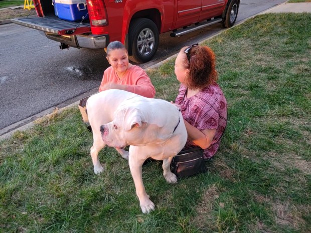 Windsor, Whiting At-Large Councilman Shawn Turpin's dog, watches firefighters put out the fire as neighbors keep an eye on him. (Michelle L. Quinn/Post-Tribune)